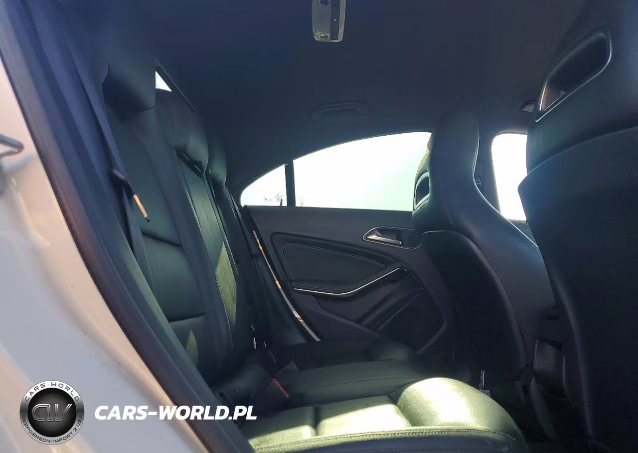 2014 Mercedes-Benz Cla 250 VIN:WDDSJ4EB7EN148945 - 10