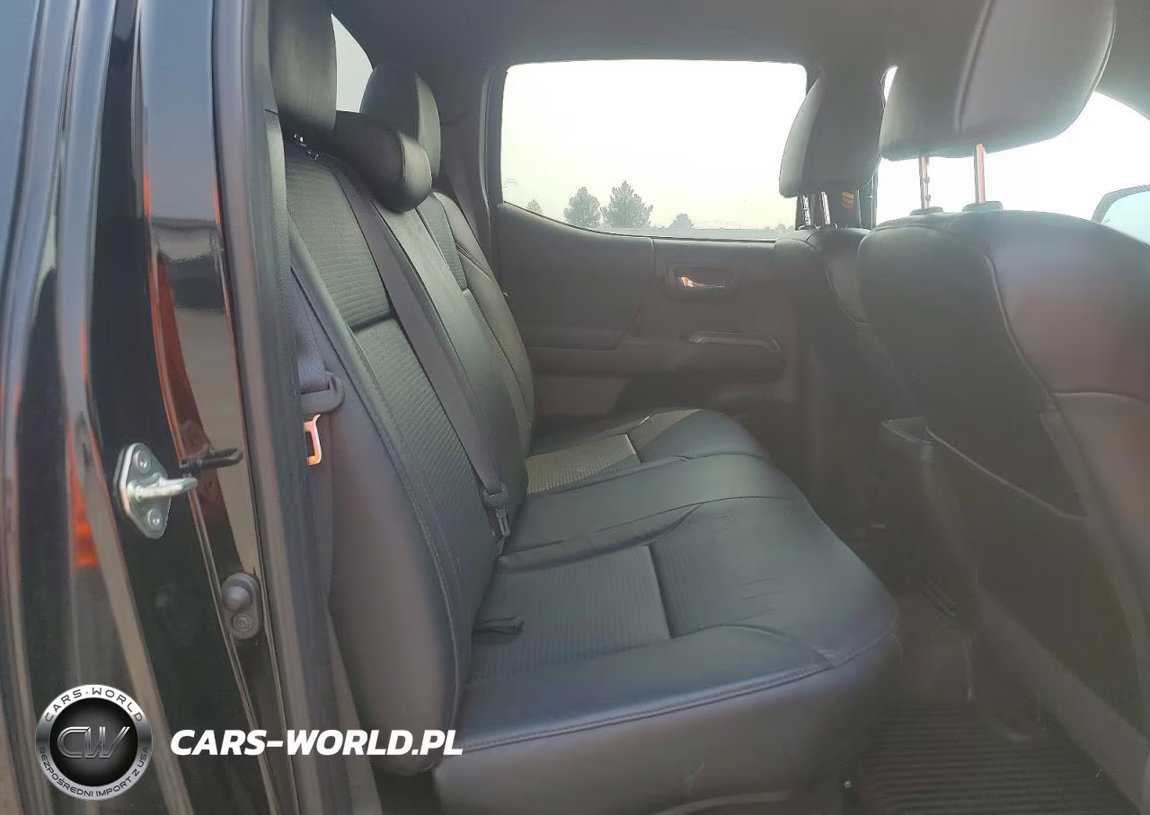 2019 Toyota Tacoma Trd Pro VIN:5TFCZ5AN9KX208026 - 10