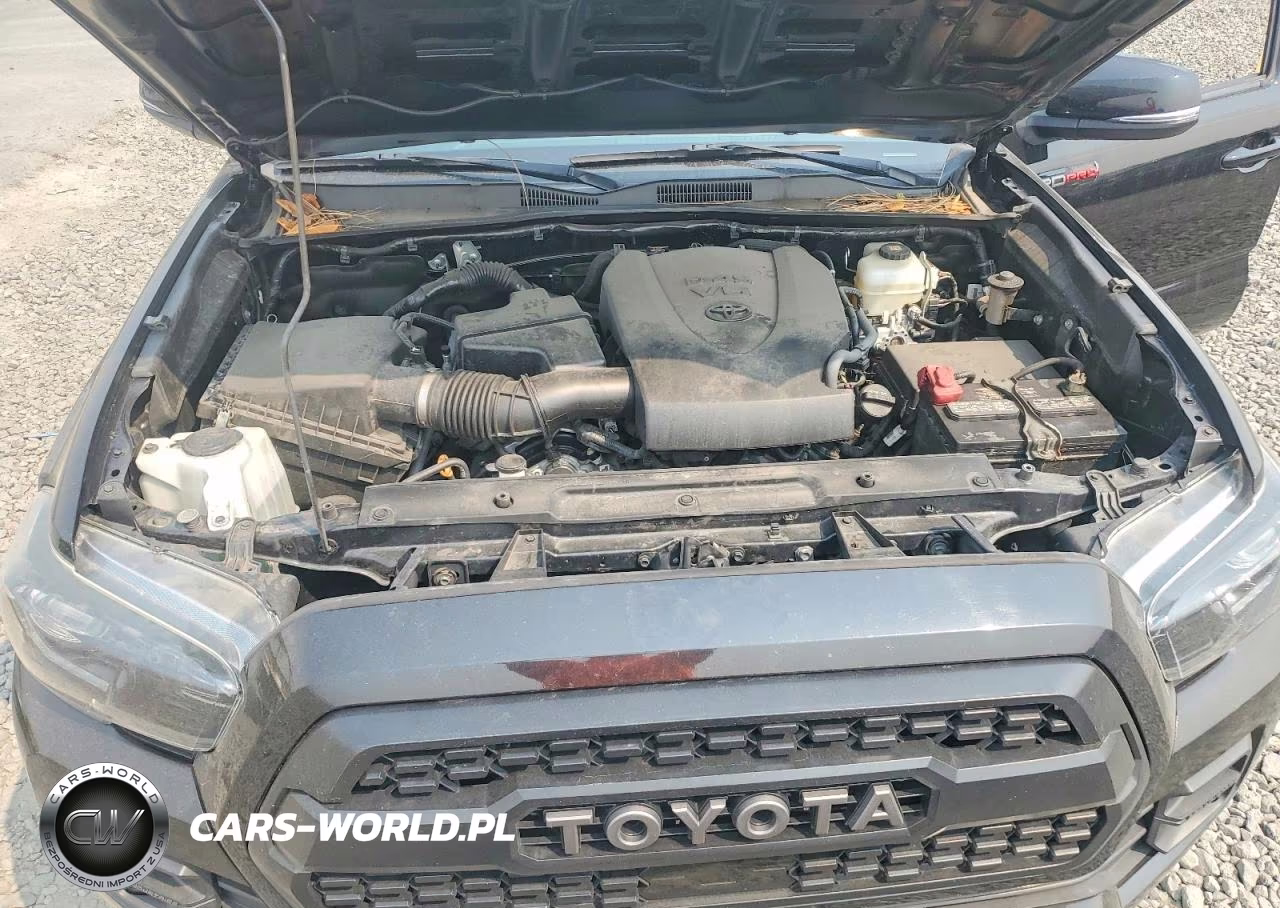 2019 Toyota Tacoma Trd Pro VIN:5TFCZ5AN9KX208026 - 11
