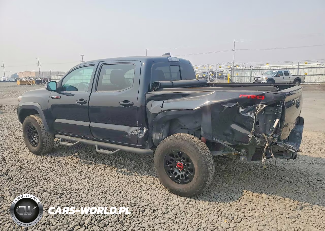2019 Toyota Tacoma Trd Pro VIN:5TFCZ5AN9KX208026 - 2