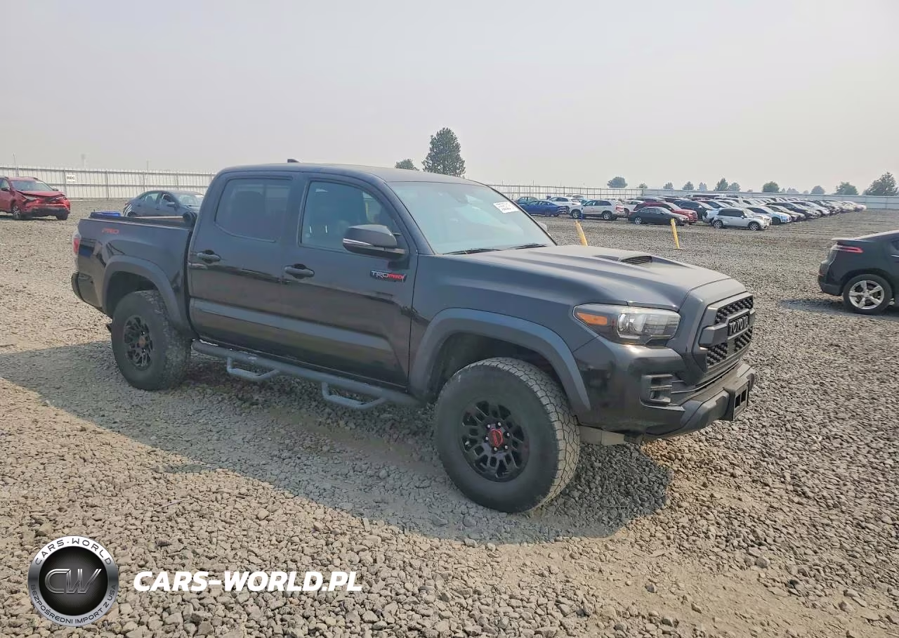 2019 Toyota Tacoma Trd Pro VIN:5TFCZ5AN9KX208026 - 4
