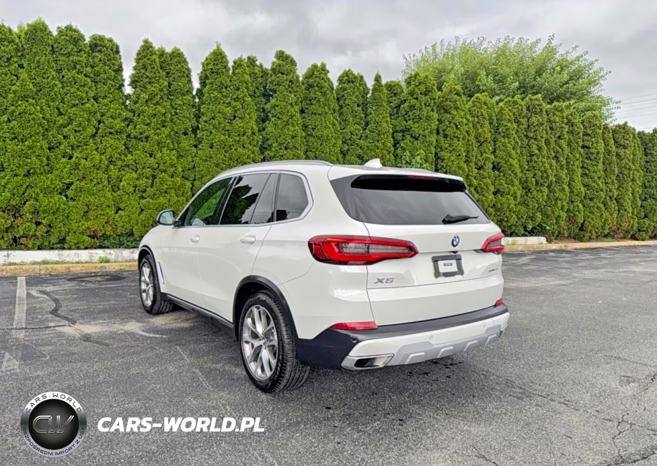 2019 BMW X5 xDrive40I VIN:5UXCR6C55KLL61916 - 3