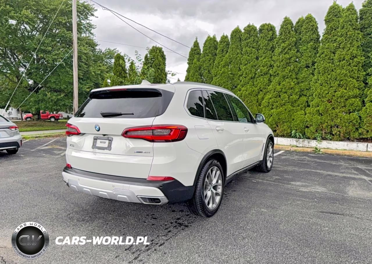 2019 BMW X5 xDrive40I VIN:5UXCR6C55KLL61916 - 4