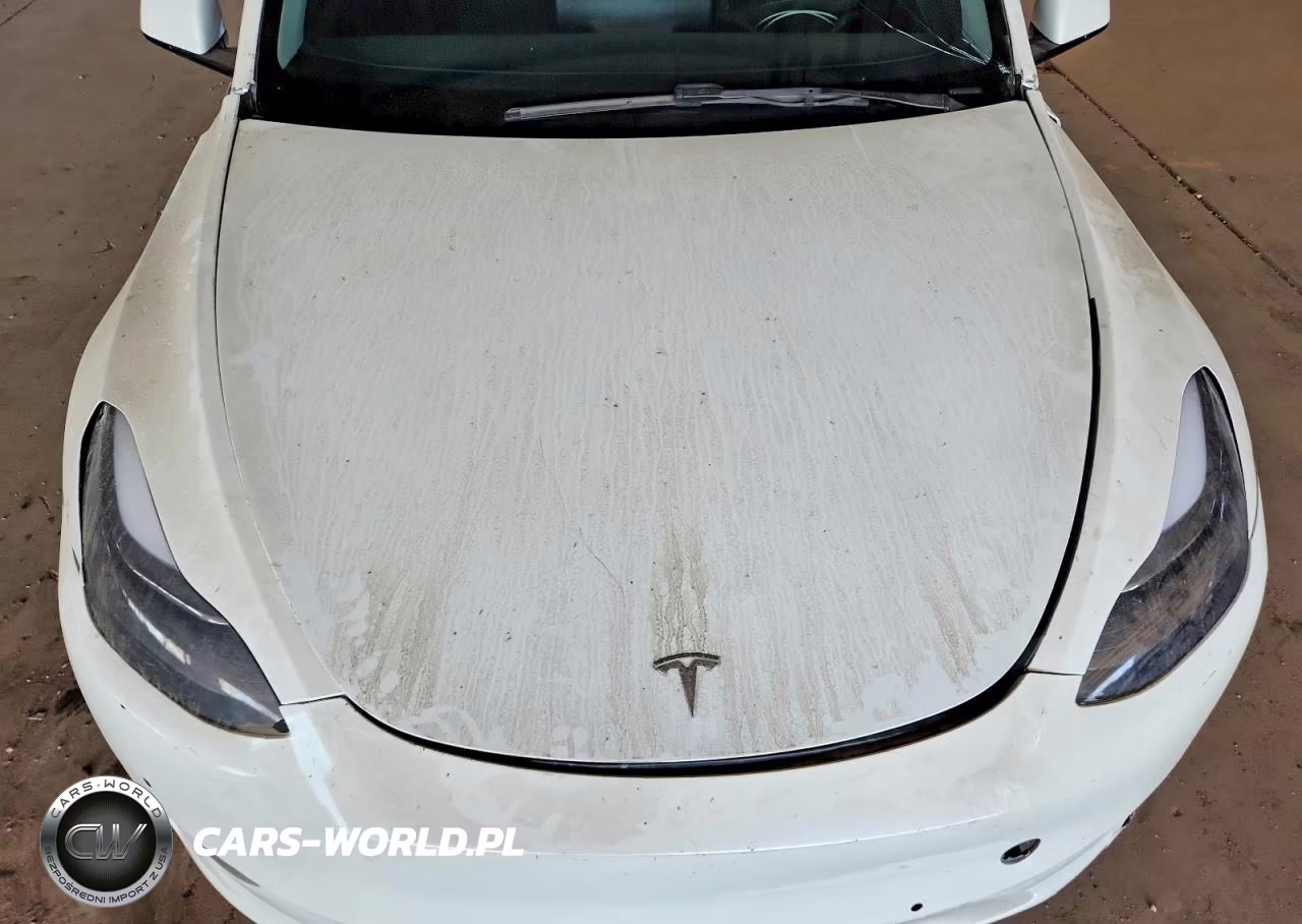 2024 Tesla Model Y Rwd VIN:7SAYGDED1RF193049 - 11