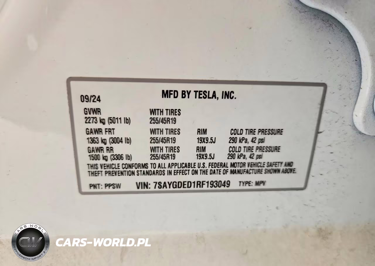 2024 Tesla Model Y Rwd VIN:7SAYGDED1RF193049 - 12