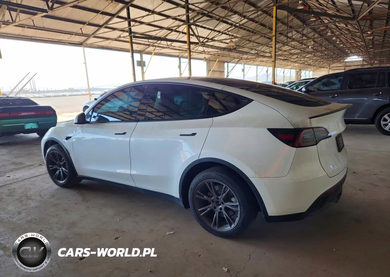 2024 Tesla Model Y Rwd VIN:7SAYGDED1RF193049 - 2