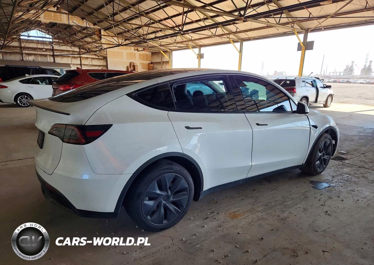 2024 Tesla Model Y Rwd VIN:7SAYGDED1RF193049 - 3