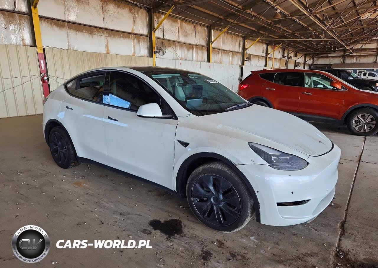 2024 Tesla Model Y Rwd VIN:7SAYGDED1RF193049 - 4