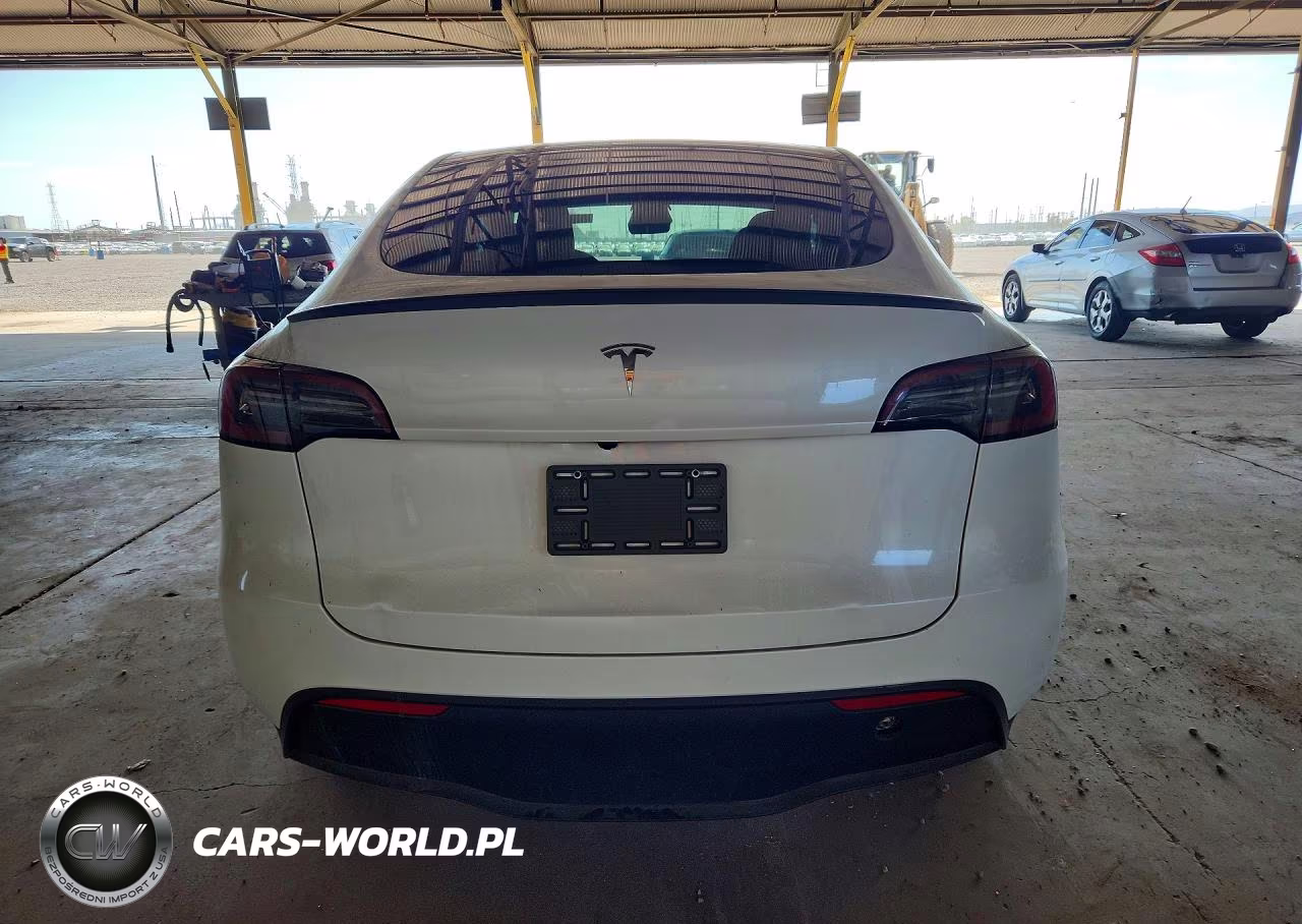 2024 Tesla Model Y Rwd VIN:7SAYGDED1RF193049 - 6
