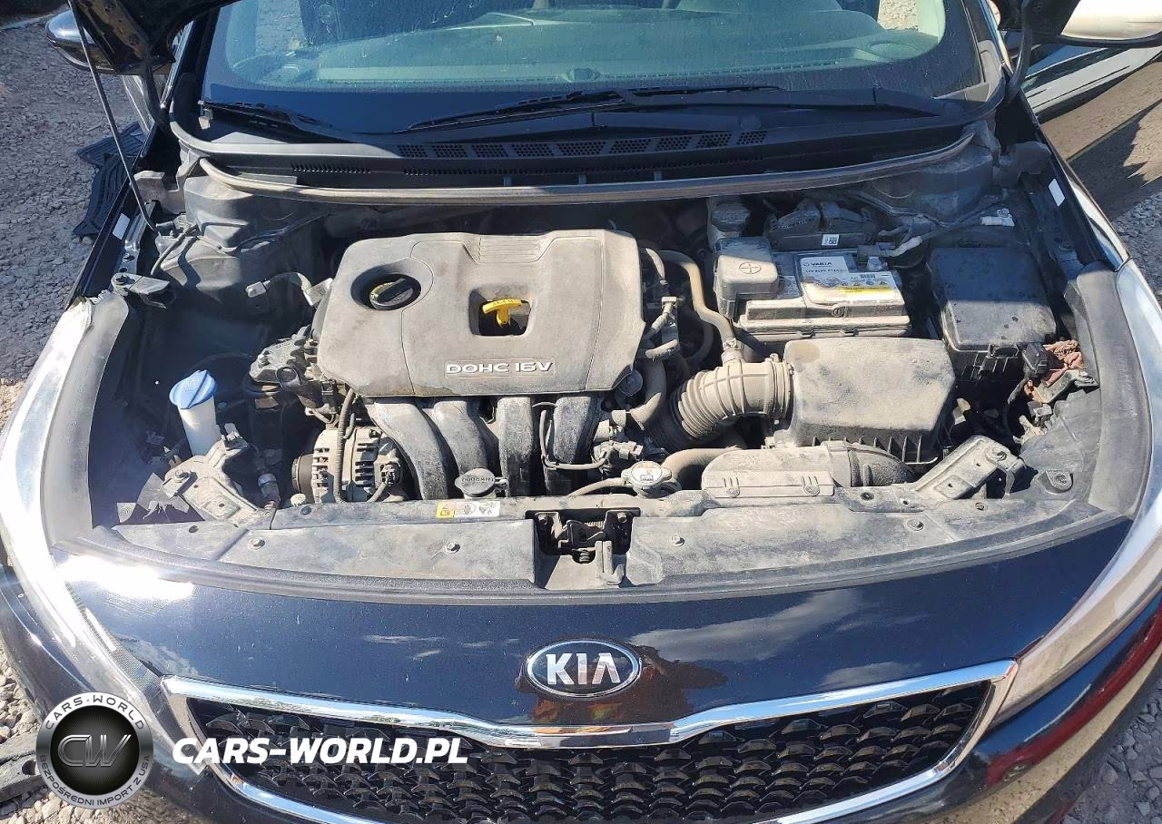 2018 Kia Forte Lx VIN:3KPFK4A73JE273725 - 11