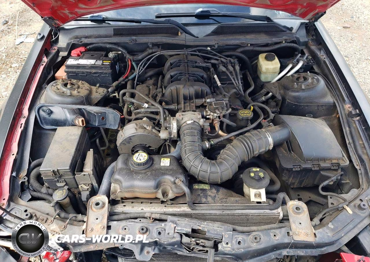 FORD MUSTANG VIN:1ZVFT80N755144292 - 11