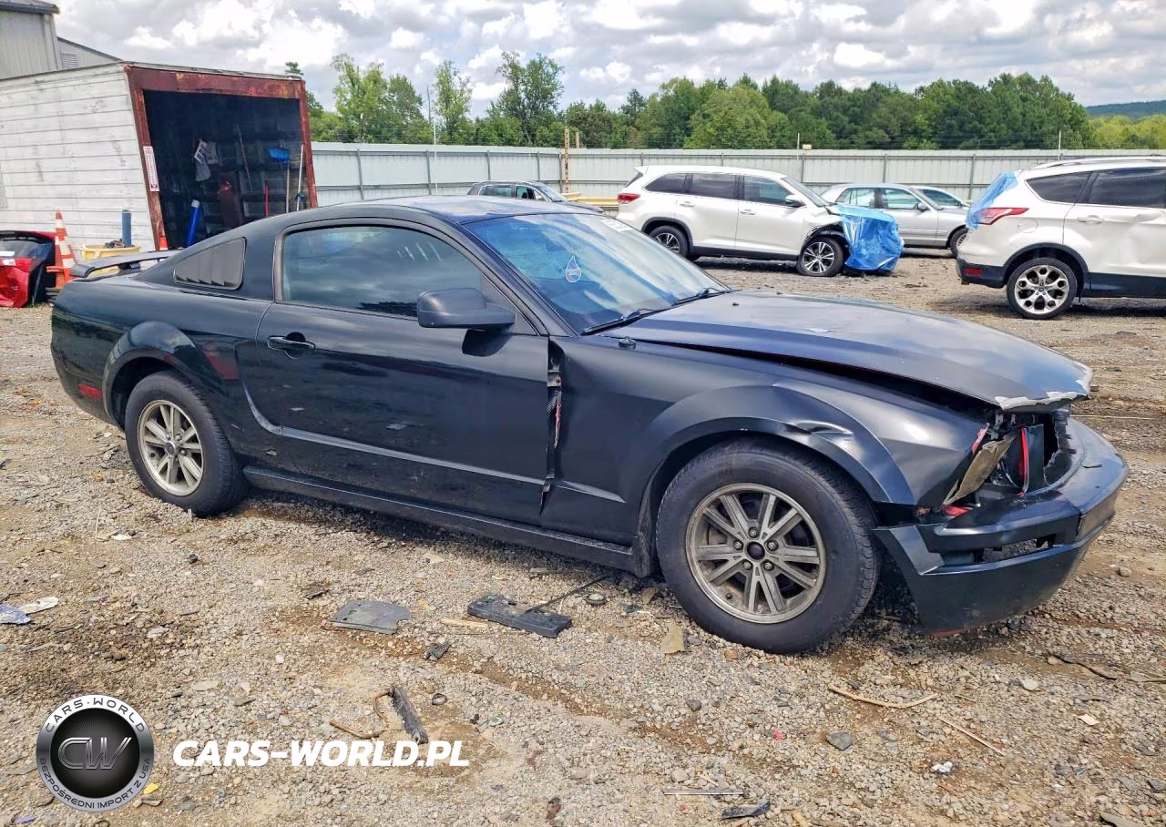 FORD MUSTANG VIN:1ZVFT80N755144292 - 4