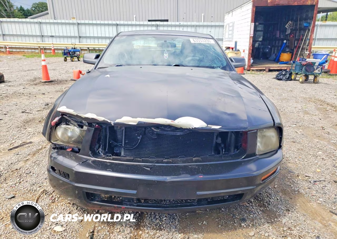 FORD MUSTANG VIN:1ZVFT80N755144292 - 5