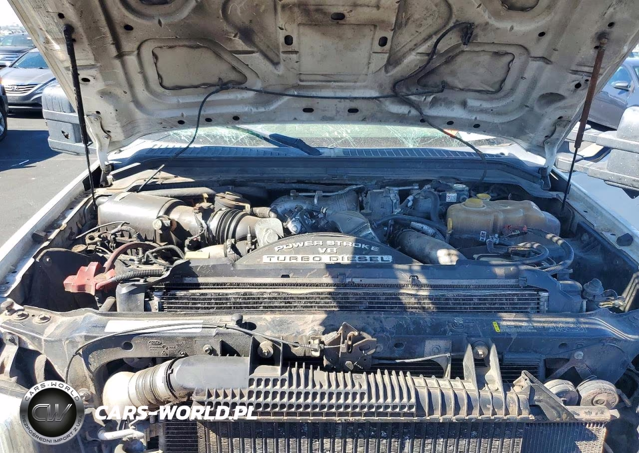 2009 Ford F250 Super Duty VIN:1FTSW21R19EA68596 - 11