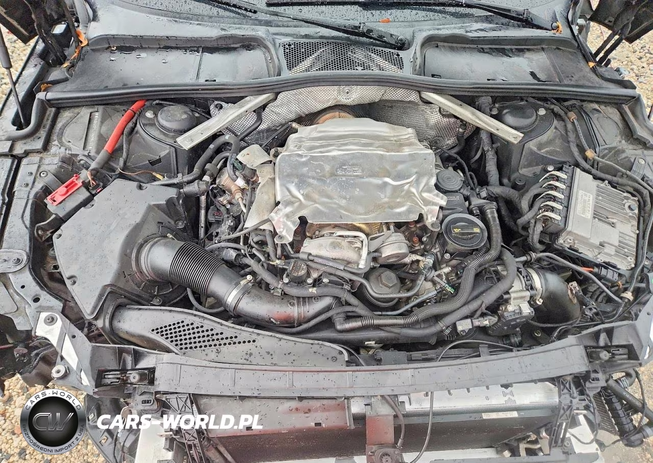 2018 Audi S5 Premium Plus VIN:WAUB4CF52JA096207 - 11