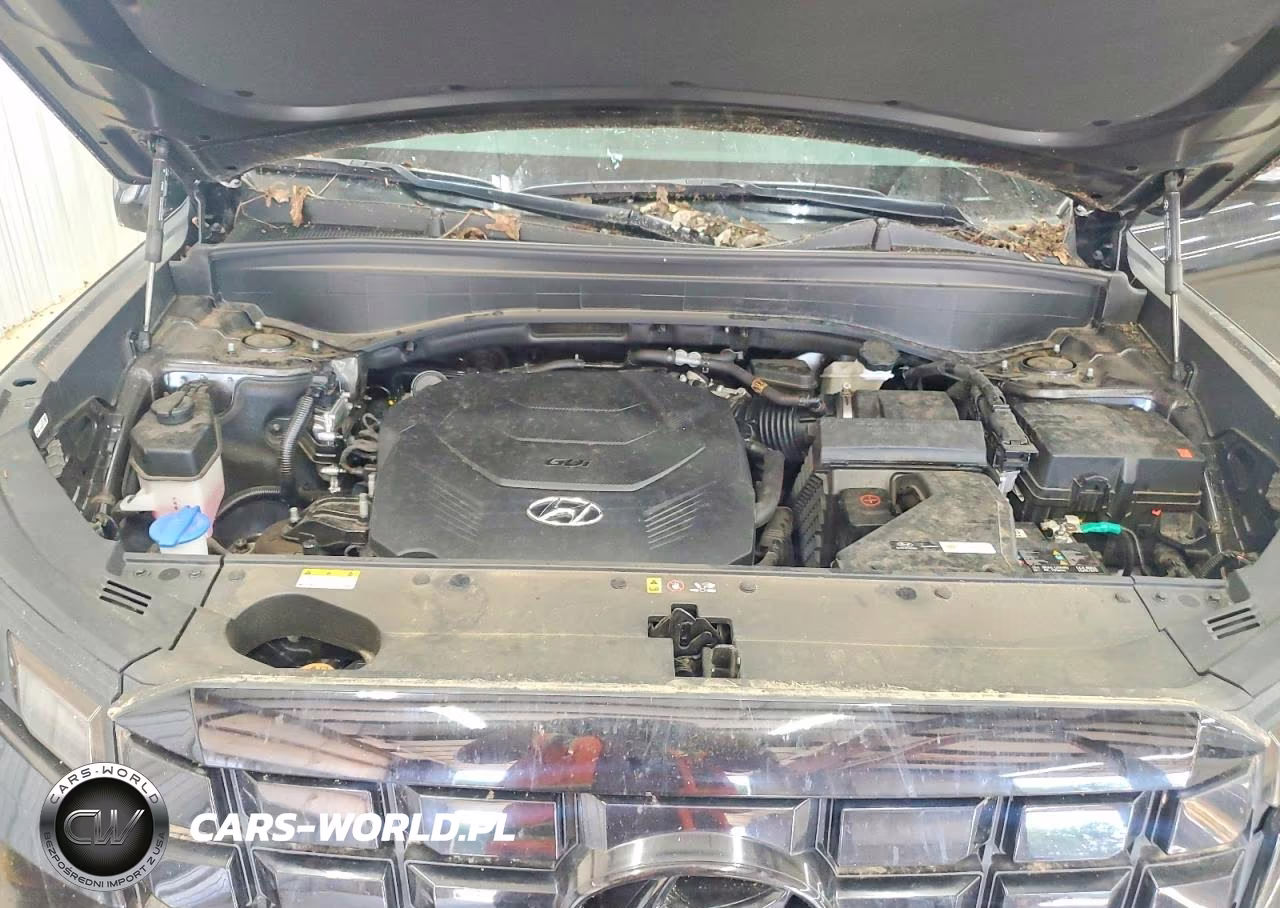 2025 Hyundai Palisade Sel Premium VIN:KM8R44GE7SU870548 - 12