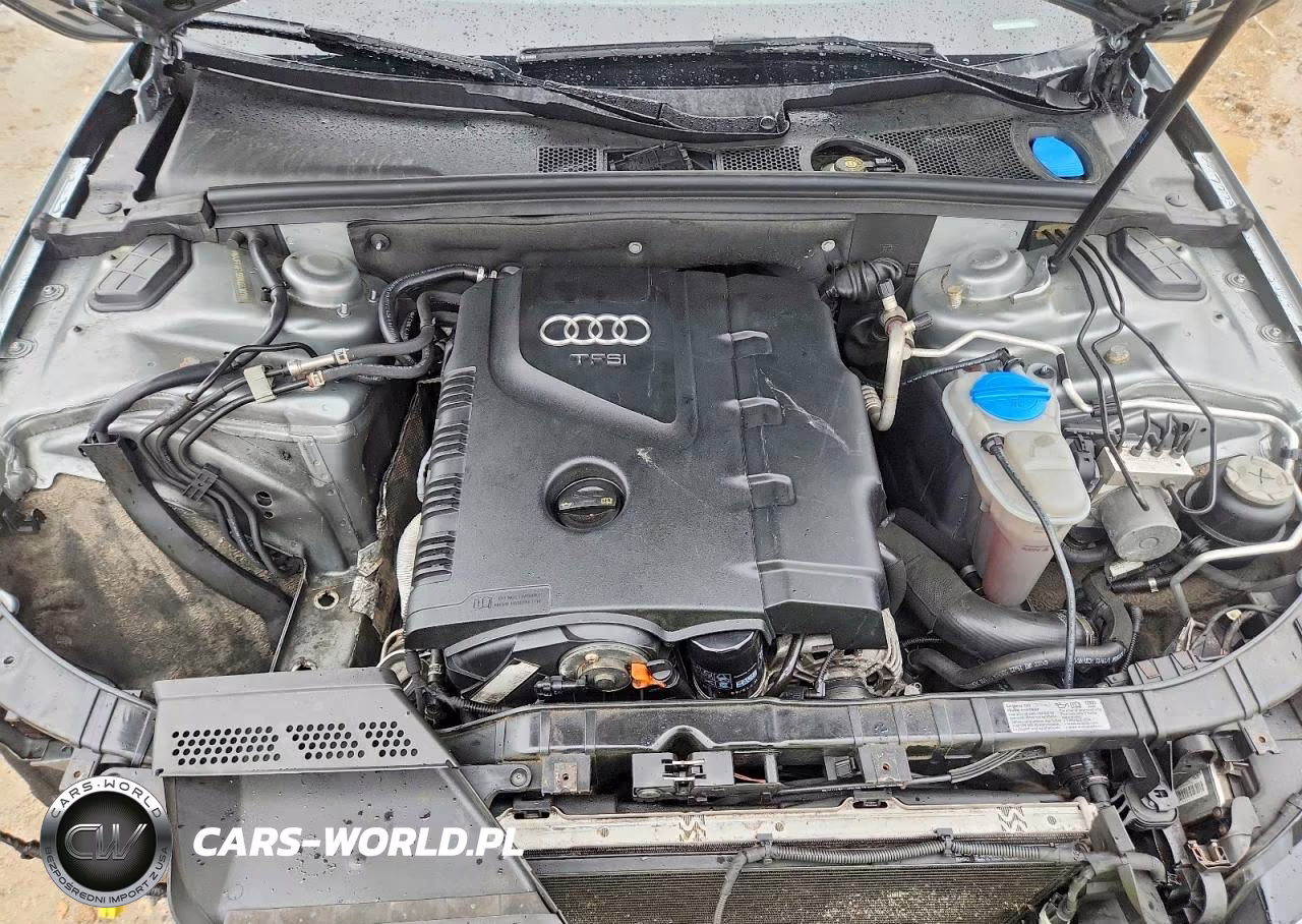 2011 Audi A4 Premium Plus VIN:WAUFFAFL9BN055307 - 11