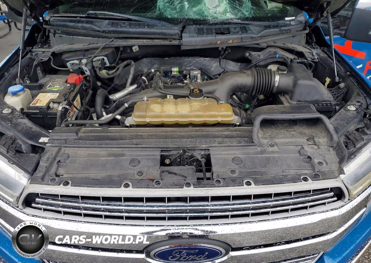 2019 Ford F150 Supercrew VIN:1FTEW1EP1KKC55408 - 11