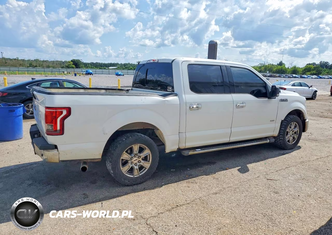 2015 Ford F150 Supercrew VIN:1FTEW1CP3FFA48066 - 3
