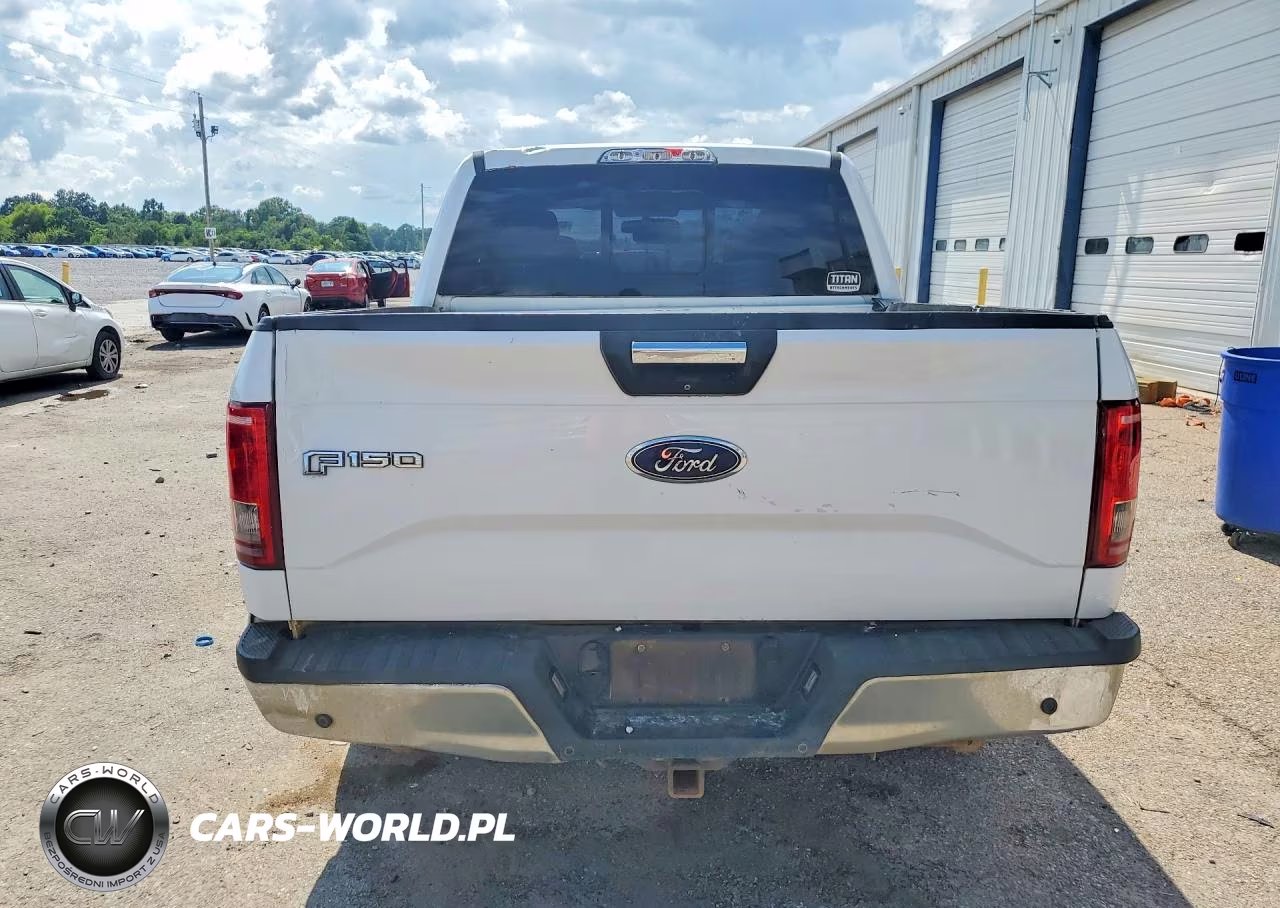 2015 Ford F150 Supercrew VIN:1FTEW1CP3FFA48066 - 6