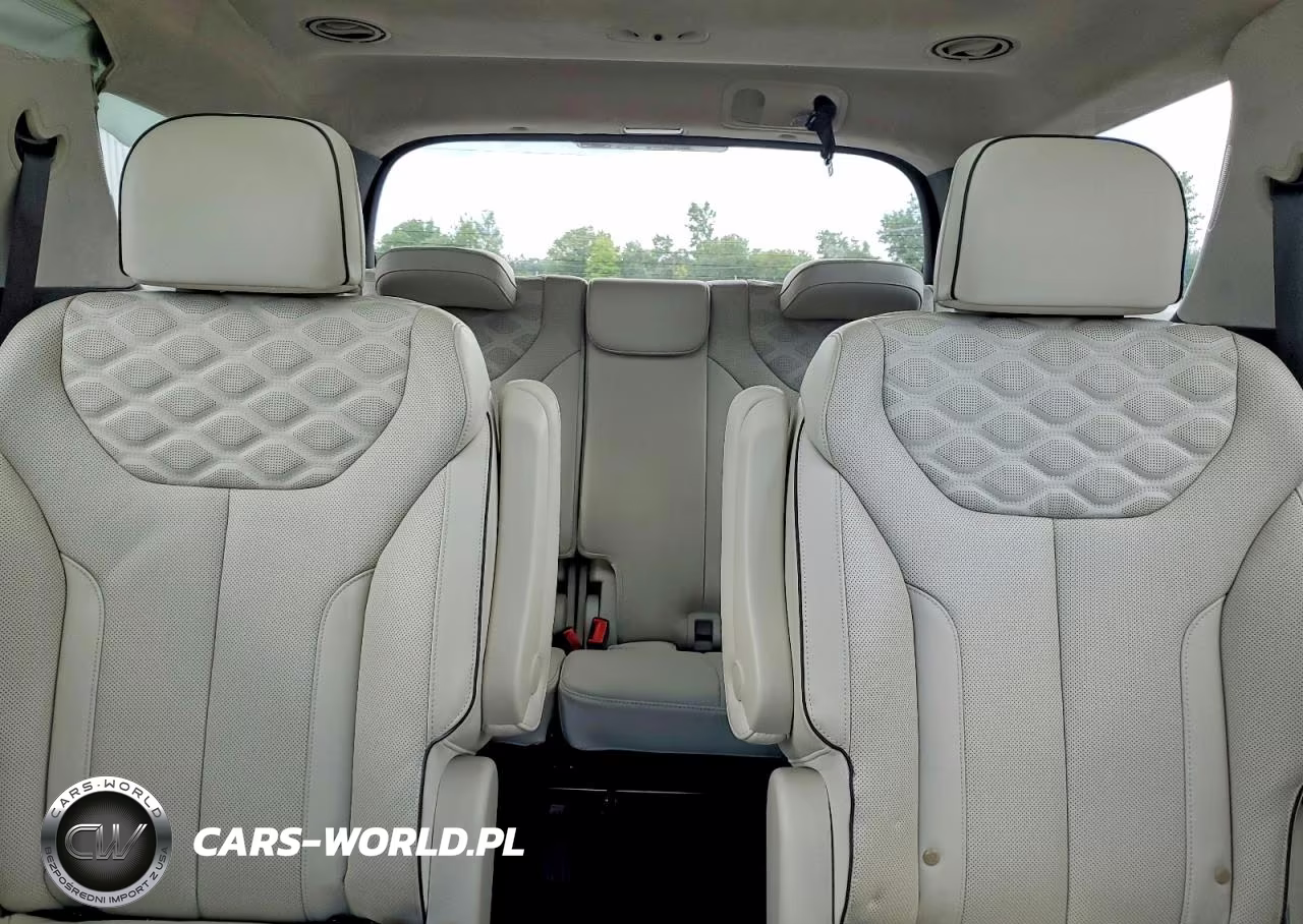 2020 Hyundai Palisade Limited VIN:KM8R5DHE4LU115113 - 10