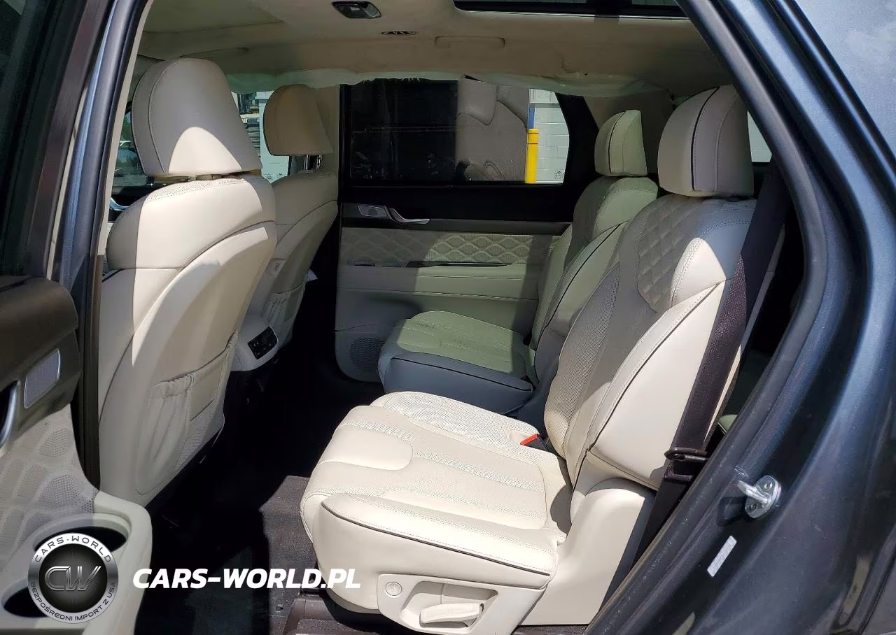 2020 Hyundai Palisade Limited VIN:KM8R5DHE4LU115113 - 11