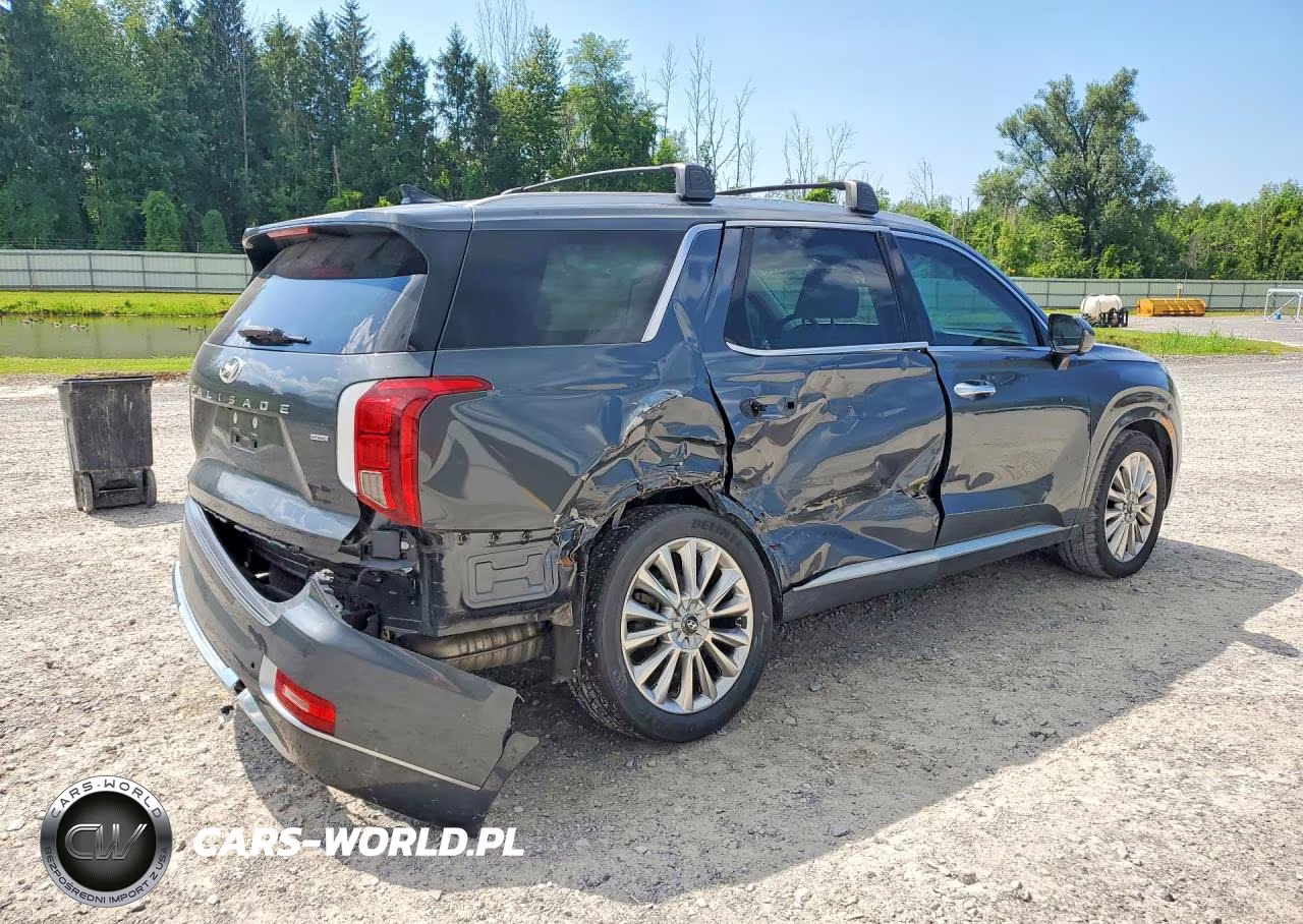 2020 Hyundai Palisade Limited VIN:KM8R5DHE4LU115113 - 3