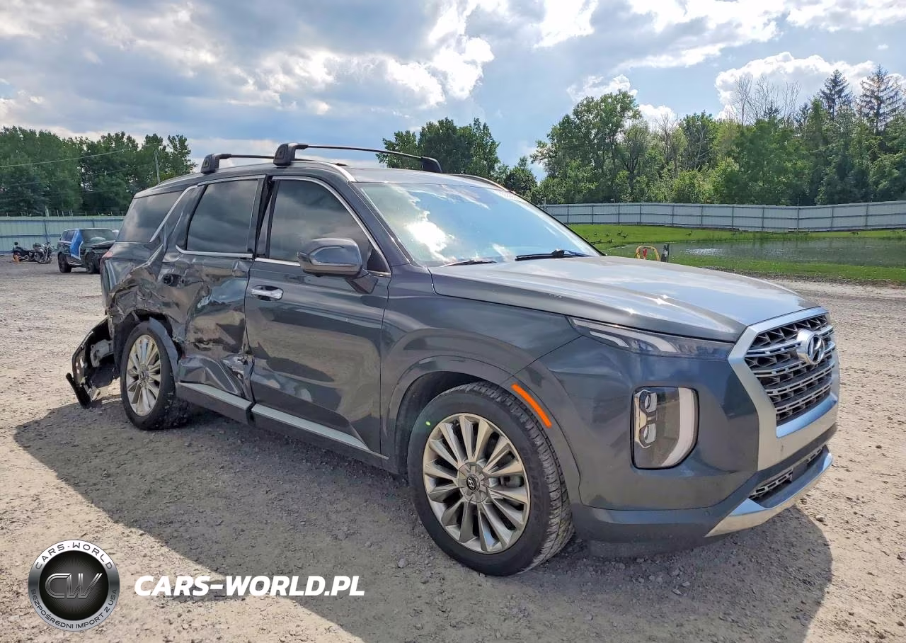 2020 Hyundai Palisade Limited VIN:KM8R5DHE4LU115113 - 4