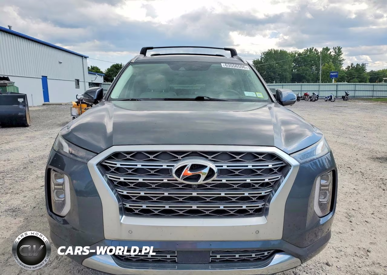 2020 Hyundai Palisade Limited VIN:KM8R5DHE4LU115113 - 5