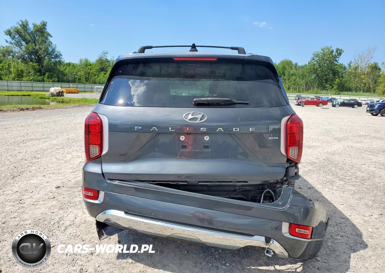 2020 Hyundai Palisade Limited VIN:KM8R5DHE4LU115113 - 6