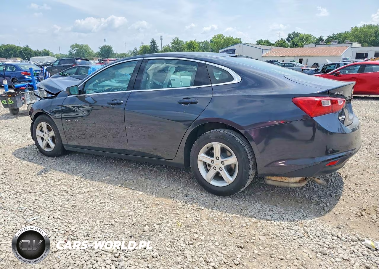 2023 Chevrolet Malibu Lt VIN:1G1ZD5ST5PF176204 - 2