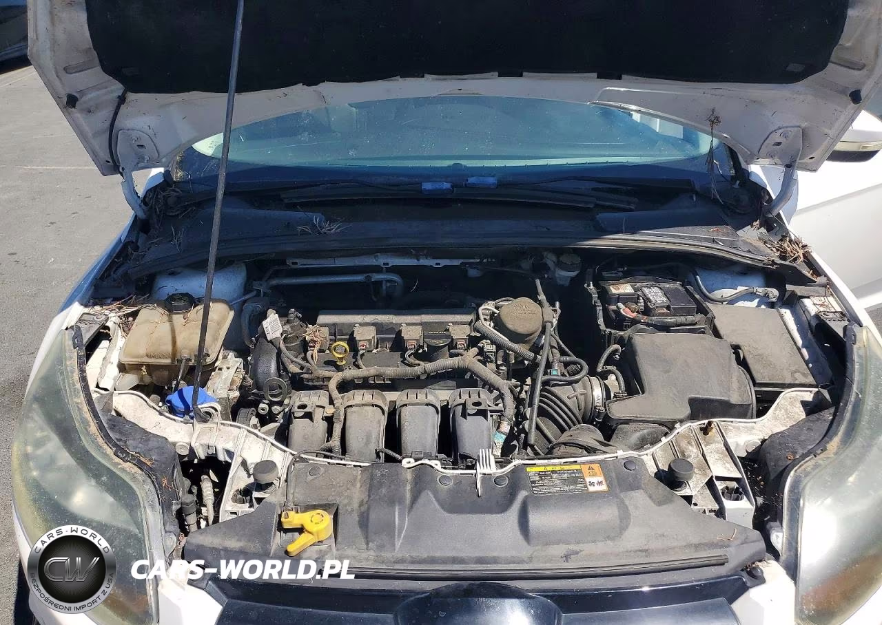 2014 Ford Focus Titanium VIN:1FADP3N28EL176623 - 11