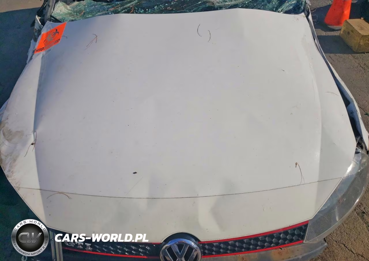 2010 Volkswagen Gti VIN:WVWHV7AJ6AW380982 - 11