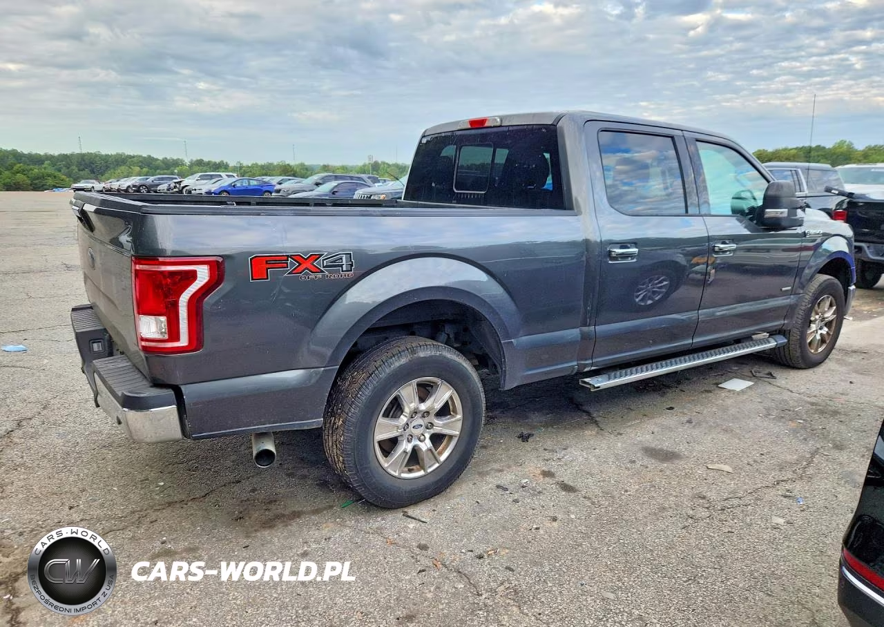 2016 Ford F150 Supercrew VIN:1FTFW1EG5GFA45608 - 3