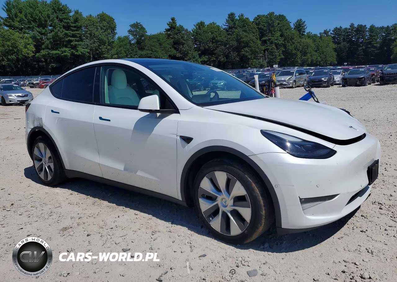 2022 Tesla Model Y VIN:7SAYGDEE3NF535877 - 4