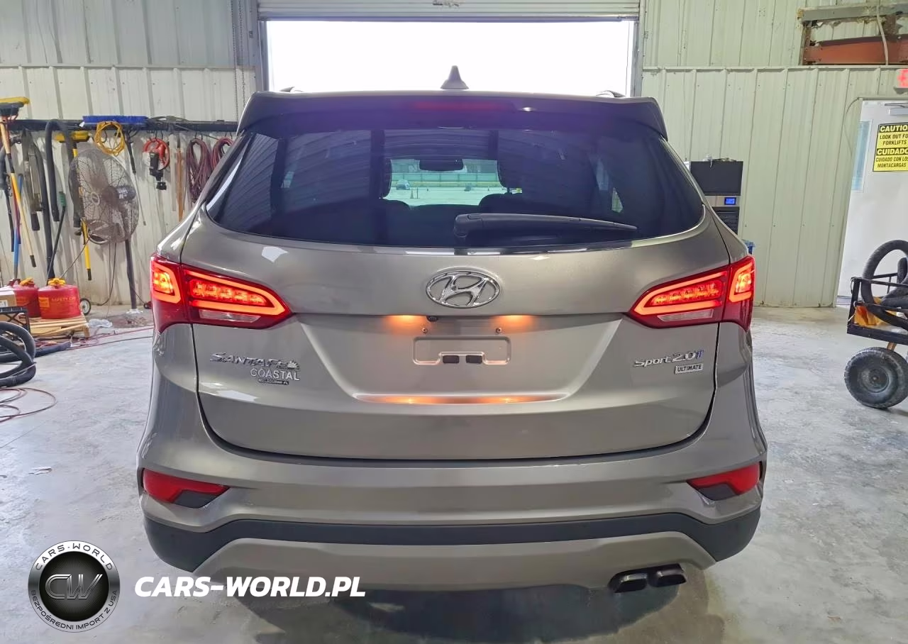 2017 Hyundai Santa Fe Sport 2.0T Ultimate VIN:5XYZW4LA3HG496953 - 6