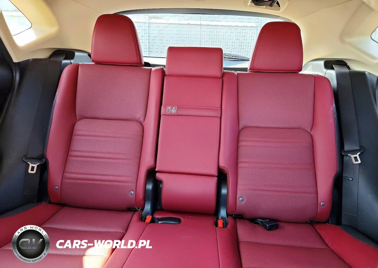2021 Lexus Nx 300 Base VIN:JTJDARDZ9M5025352 - 10