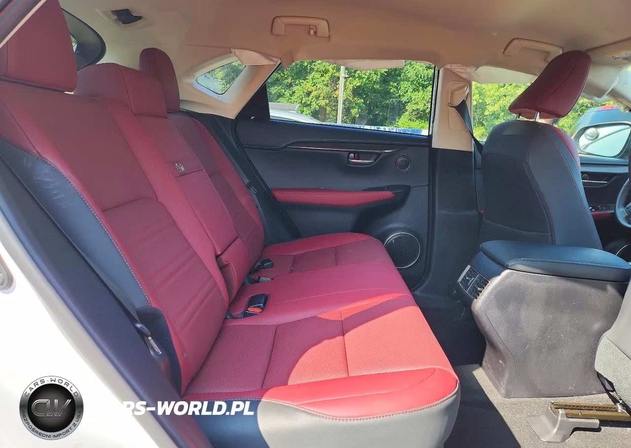 2021 Lexus Nx 300 Base VIN:JTJDARDZ9M5025352 - 11