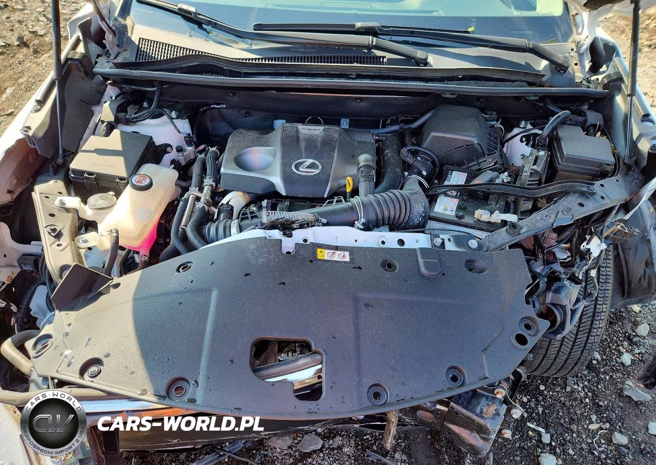 2021 Lexus Nx 300 Base VIN:JTJDARDZ9M5025352 - 12