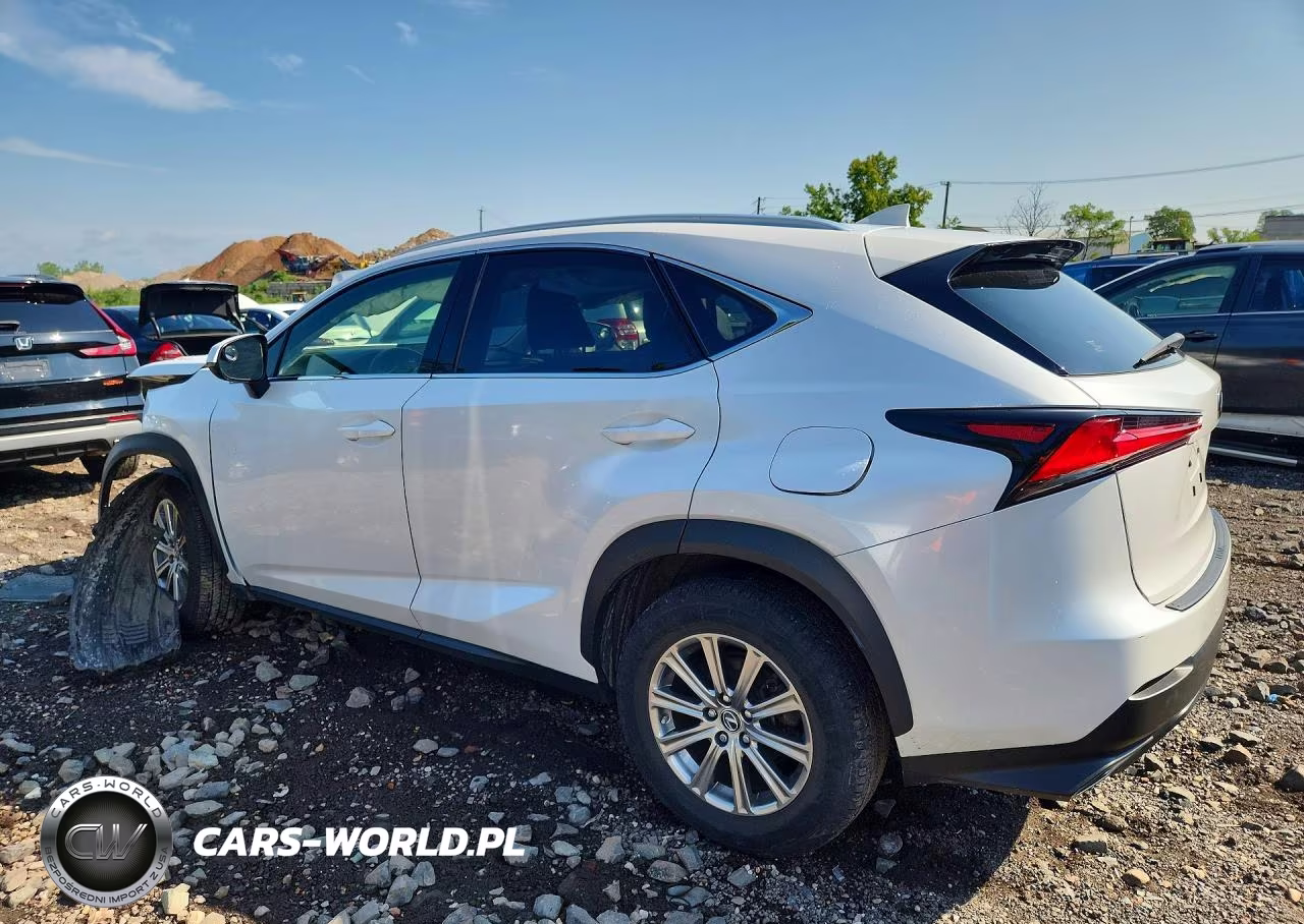 2021 Lexus Nx 300 Base VIN:JTJDARDZ9M5025352 - 2