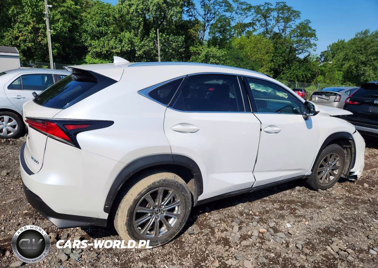 2021 Lexus Nx 300 Base VIN:JTJDARDZ9M5025352 - 3