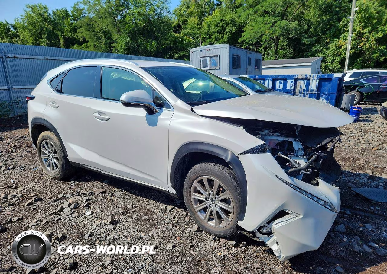 2021 Lexus Nx 300 Base VIN:JTJDARDZ9M5025352 - 4