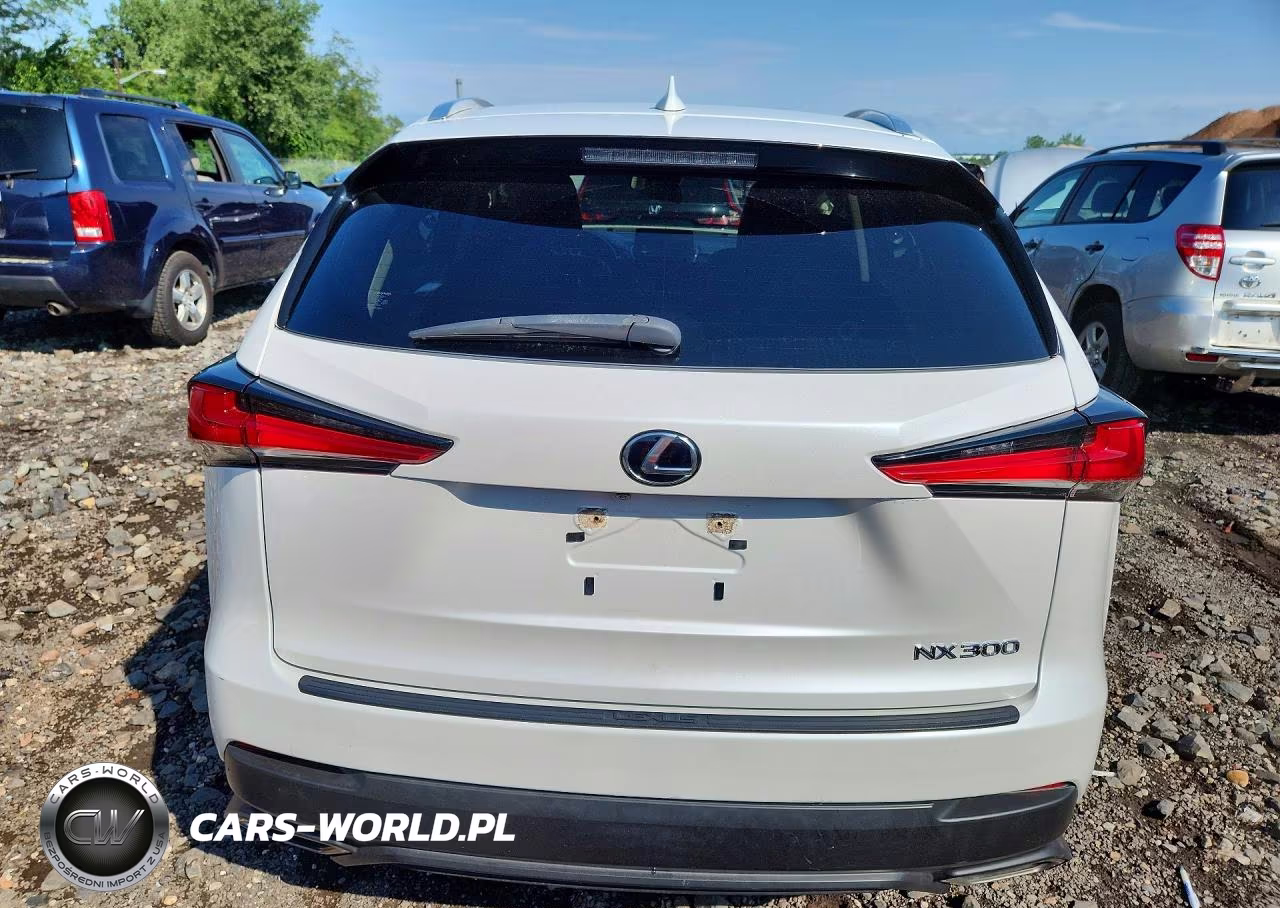 2021 Lexus Nx 300 Base VIN:JTJDARDZ9M5025352 - 6
