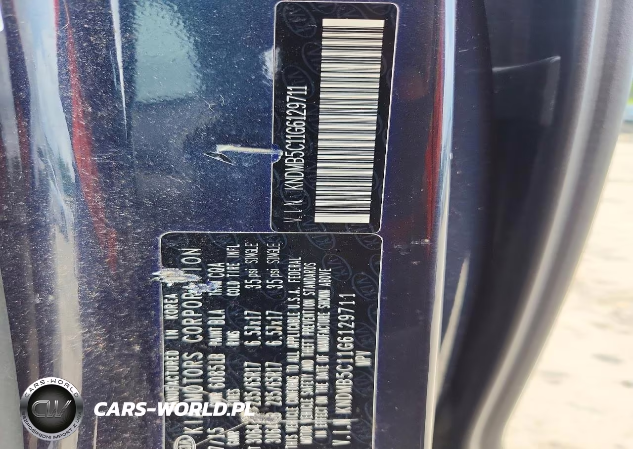 2016 Kia Sedona Lx VIN:KNDMB5C11G6129711 - 13