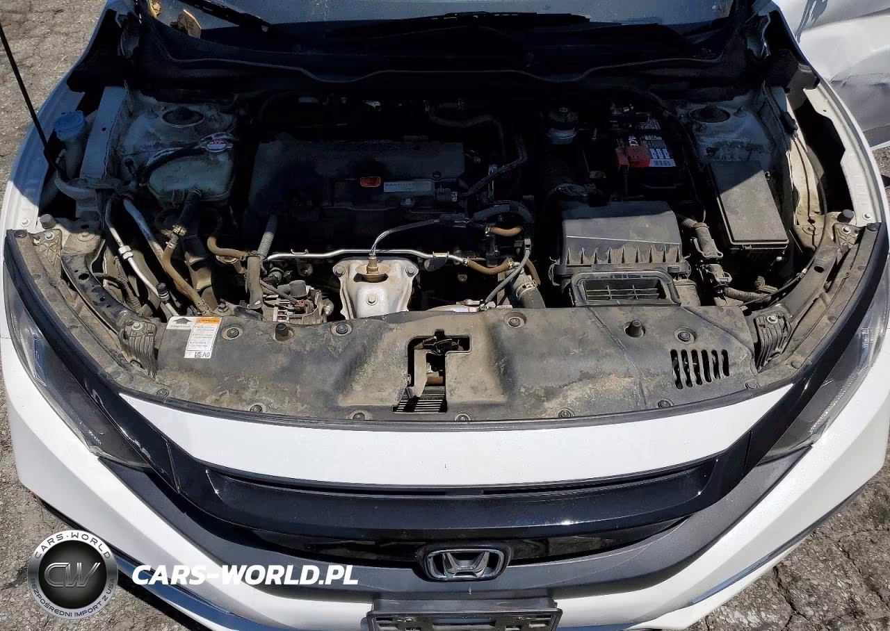 2019 Honda Civic Lx VIN:2HGFC2F62KH557811 - 11