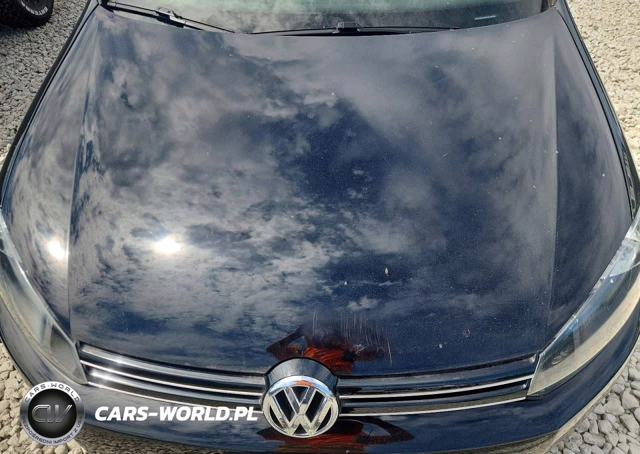 2013 Volkswagen Golf VIN:WVWDB7AJ4DW138039 - 11