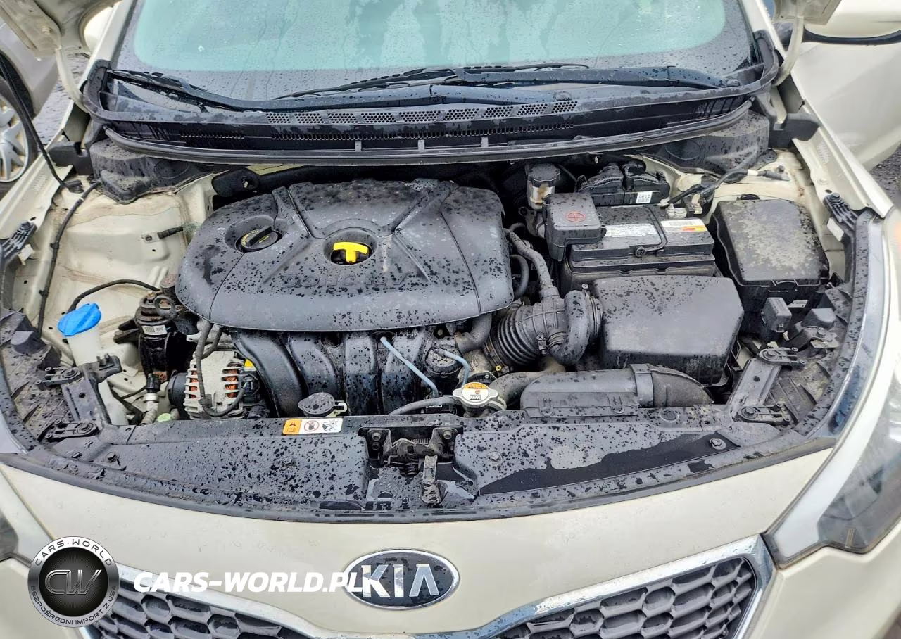 2015 Kia Forte Lx VIN:KNAFK4A62F5418678 - 11