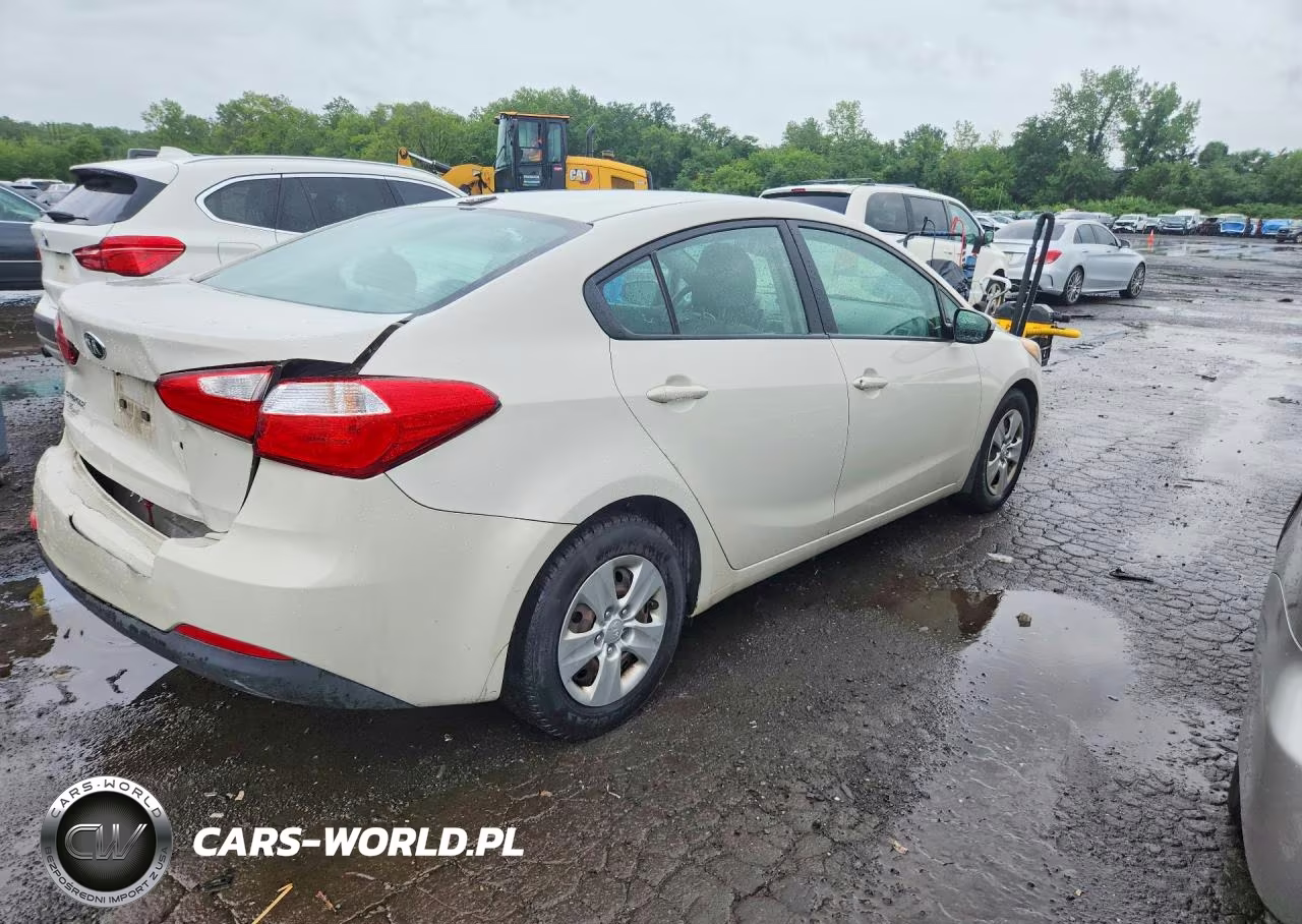 2015 Kia Forte Lx VIN:KNAFK4A62F5418678 - 3
