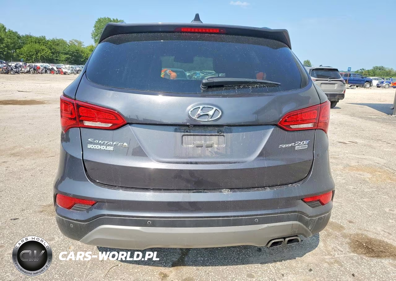 2017 Hyundai Santa Fe Sport 2.0T Ultimate VIN:5XYZW4LA4HG384727 - 6