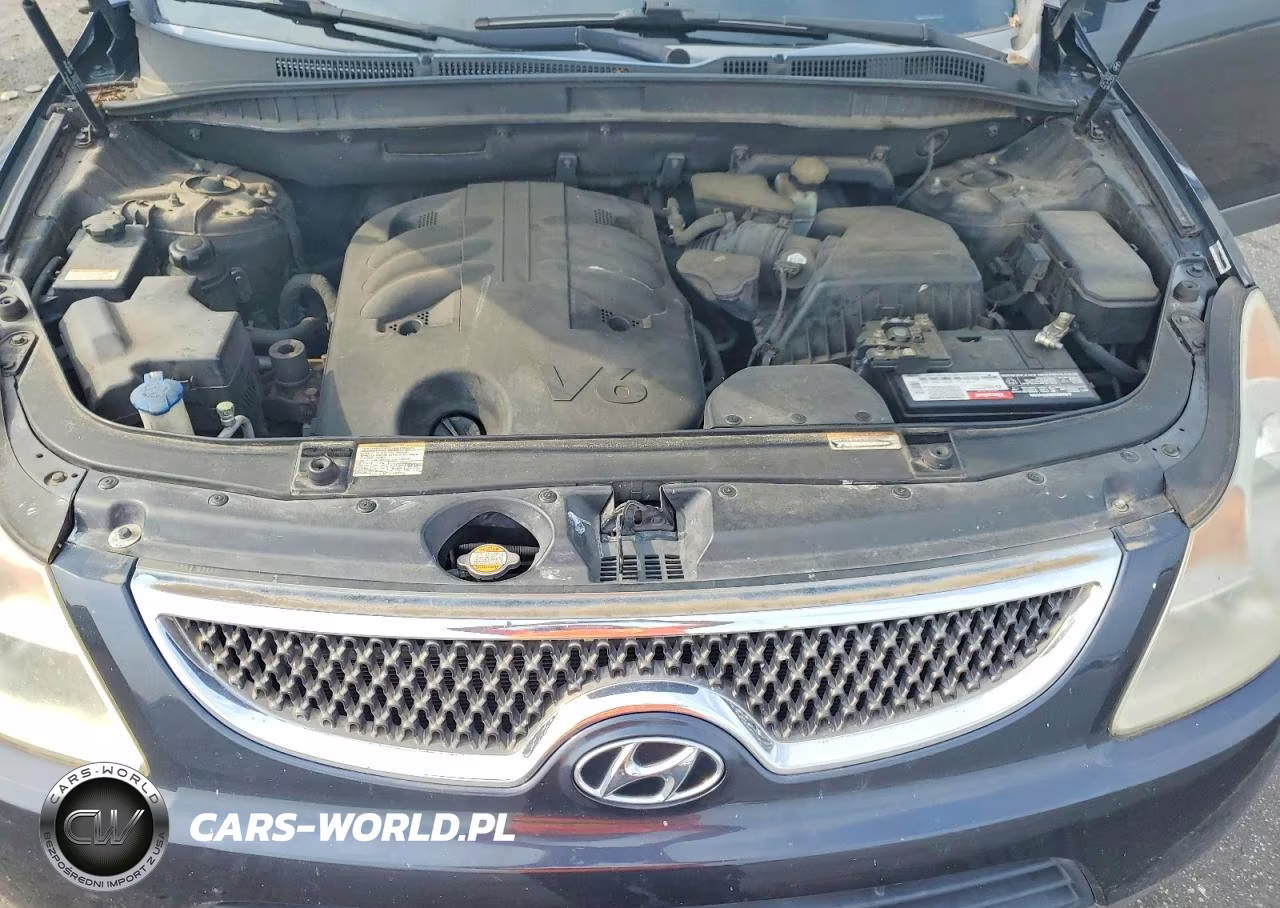 2008 Hyundai Veracruz Gls VIN:KM8NU13C18U042196 - 11
